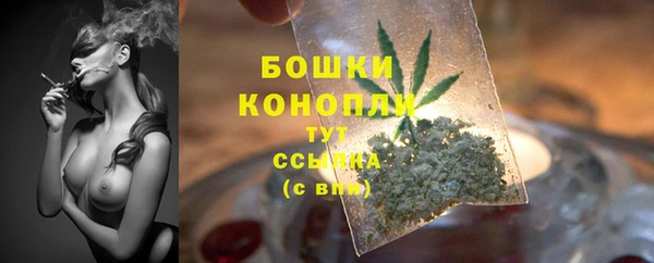 молекула духа Нея
