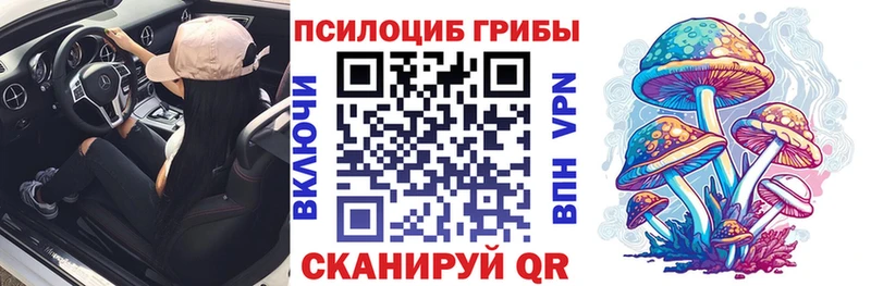где продают наркотики  Руза  Галлюциногенные грибы Magic Shrooms 